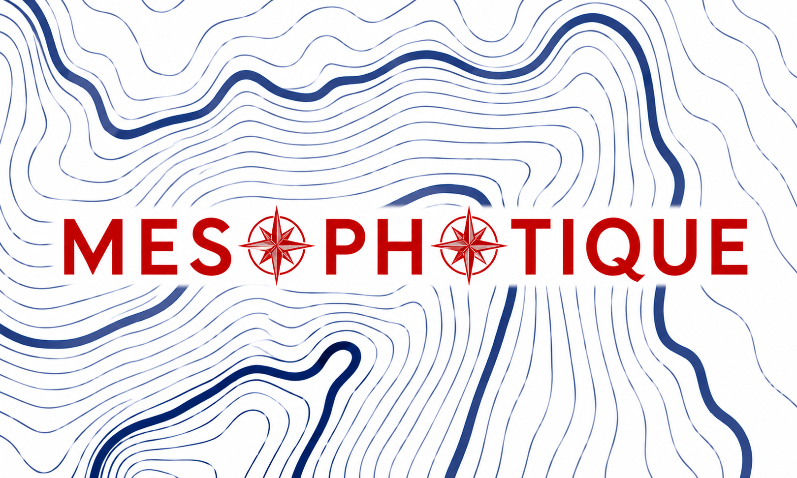 Logo Association Mésophotique